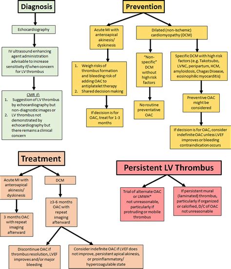 treatment for Lv thrombus